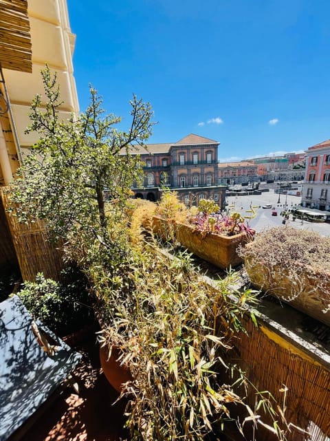 Balcony/Terrace, City view