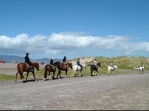 Earlscourt Apartment in County Kerry