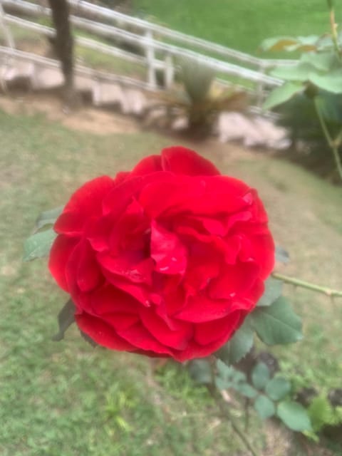 Pousada Casa Fazenda do Rio Inn in Visconde de Mauá