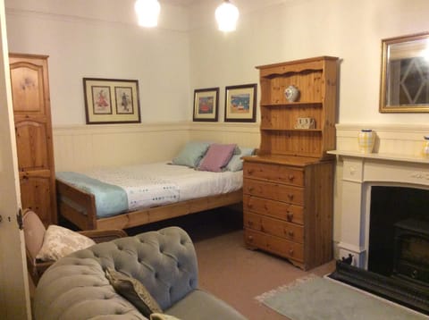 Bed, Library, Photo of the whole room, Seating area, flat iron