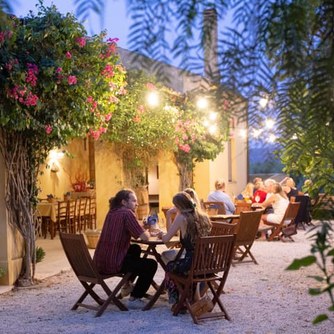 Patio, Garden
