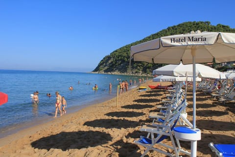 Day, People, Natural landscape, Beach, Beach, group of guests, sunbed