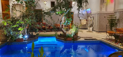 Garden, Garden view, Pool view, Swimming pool