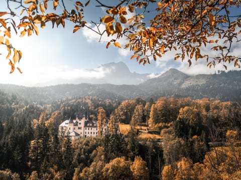 Property building, Natural landscape, Autumn