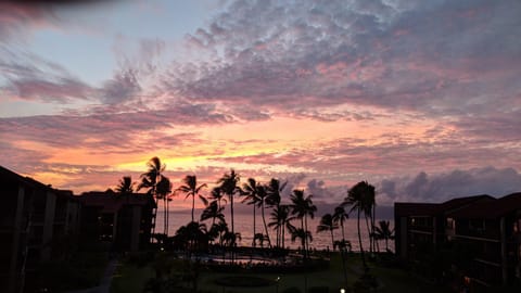 Papakea #H401 Apartment in Kaanapali