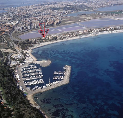 Area and facilities