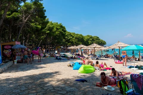 Beach, Location, group of guests