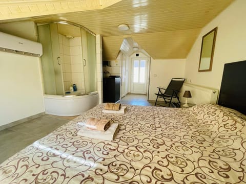 Simic Apartment in Serbia