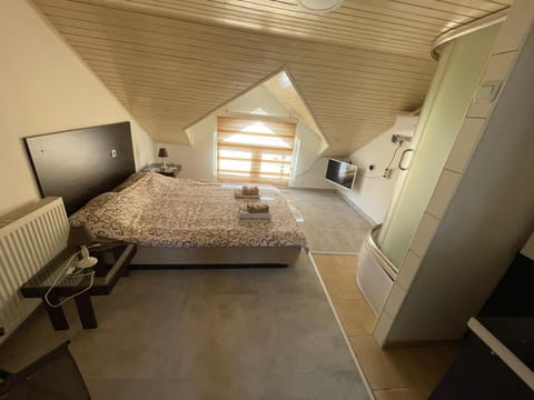 Simic Apartment in Serbia