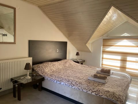 Simic Apartment in Serbia