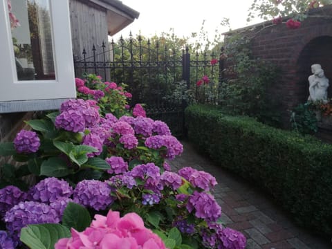 La Rose Bed and Breakfast in Lommel