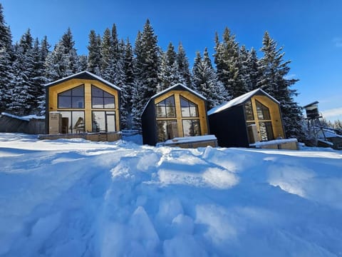 Property building, Day, Natural landscape, Winter