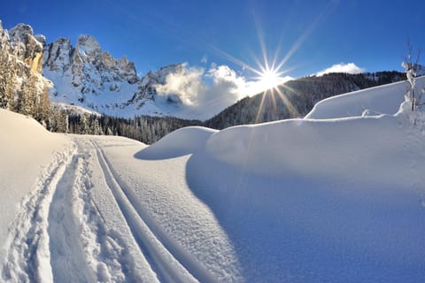 Agritur Darial Farm Stay in Trentino-South Tyrol