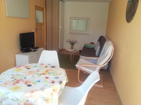 Living room, Photo of the whole room