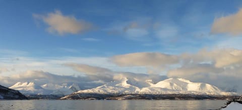 Spring, Off site, Day, Natural landscape