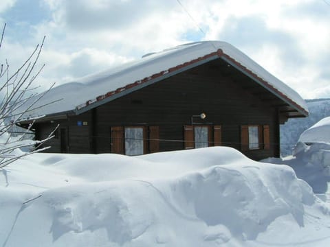 Chalet Les Bouleaux, la montagne des lamas Chalet in La Bresse