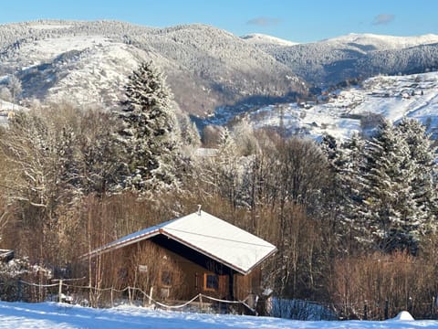 Chalet Les Bouleaux, la montagne des lamas Chalet in La Bresse
