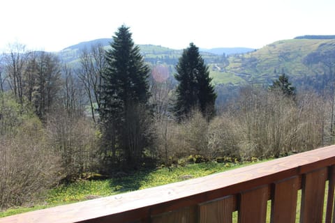 Chalet Les Bouleaux, la montagne des lamas Chalet in La Bresse