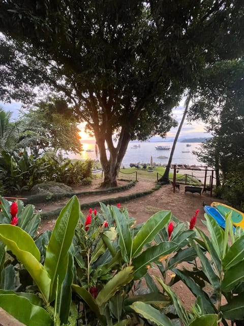 Garden view, Sea view