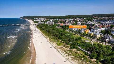 Property building, Bird's eye view