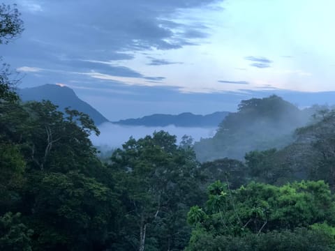 Mountain view