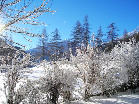 Day, Neighbourhood, Natural landscape, Winter, View (from property/room), Mountain view