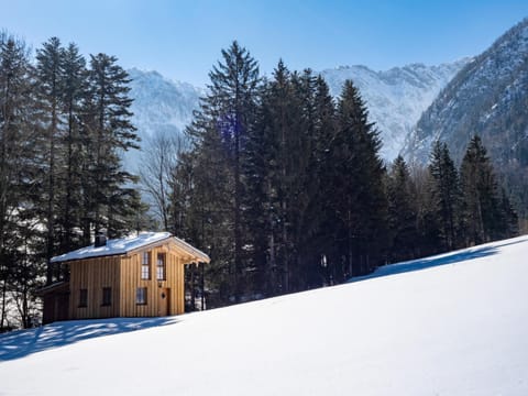 Property building, Winter, Mountain view