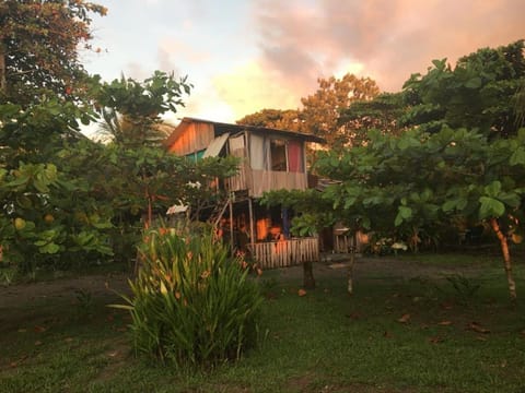 Property view