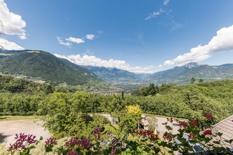 Steinkellerhof Apartment in Trentino-South Tyrol