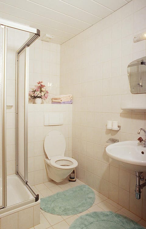 Shower, Toilet, Bathroom, towels