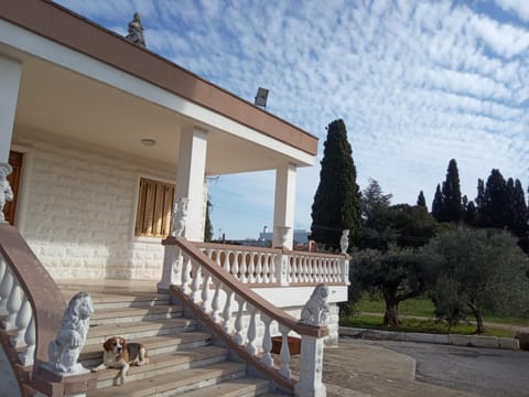 Facade/entrance, Garden view