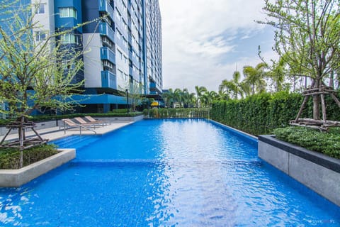 Swimming pool, Swimming pool