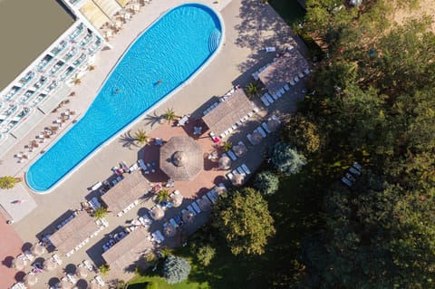 Natural landscape, Bird's eye view, Garden, Balcony/Terrace, Pool view, Swimming pool, sunbed