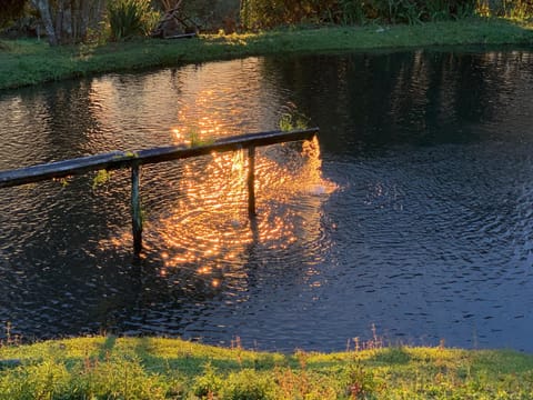 Delirius Hospedagem Nature lodge in State of Rio de Janeiro