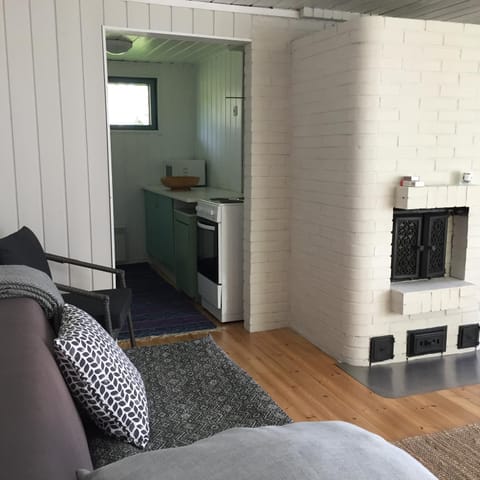 Koivuranta Raijan Aitta House in Finland