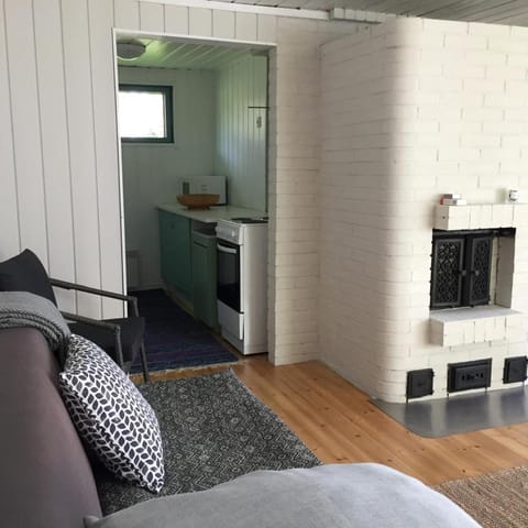 Koivuranta Raijan Aitta House in Finland