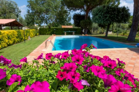 Piccolo Eden Apartment in Tuscany