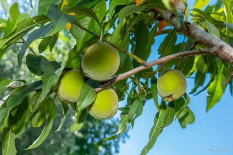 Piccolo Eden Apartment in Tuscany