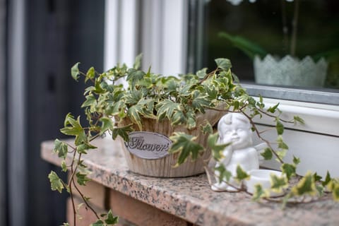 Balcony/Terrace, Decorative detail
