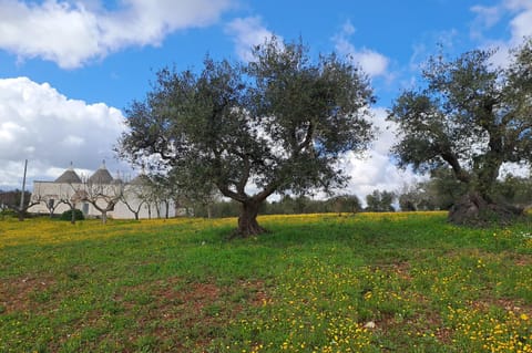 Spring, Natural landscape, Garden view