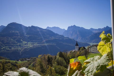 View (from property/room)