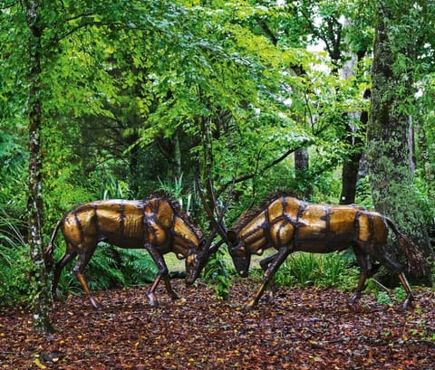 Animals