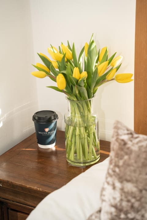 Mocha Newcastle Bed and Breakfast in Galway