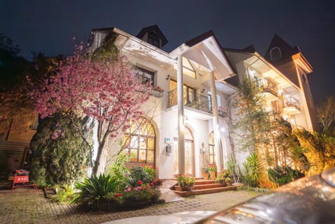 Property building, Spring, Night