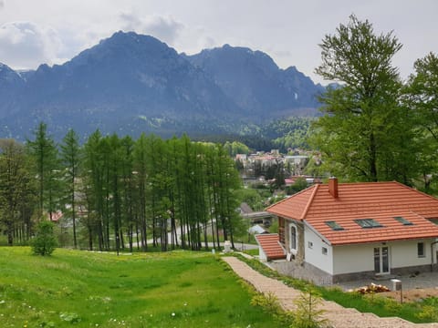 Property building, Spring, Garden