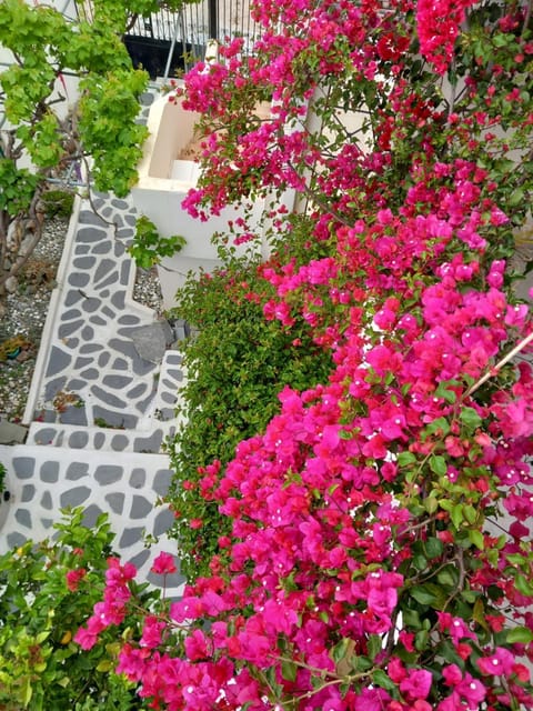 Studio in Poros Apartment in Poros