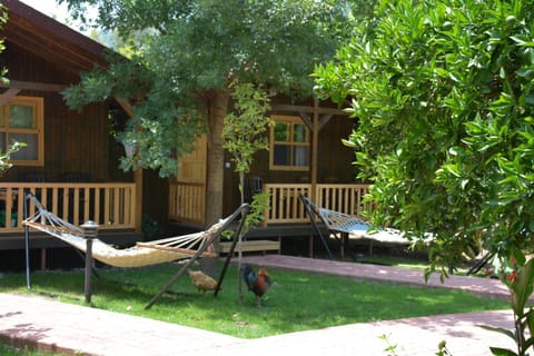 Facade/entrance, Garden