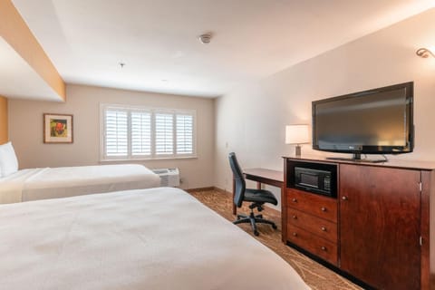 Bed, TV and multimedia, microwave
