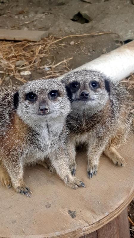 Breede River Holiday Farm Malgas Chalet in Western Cape