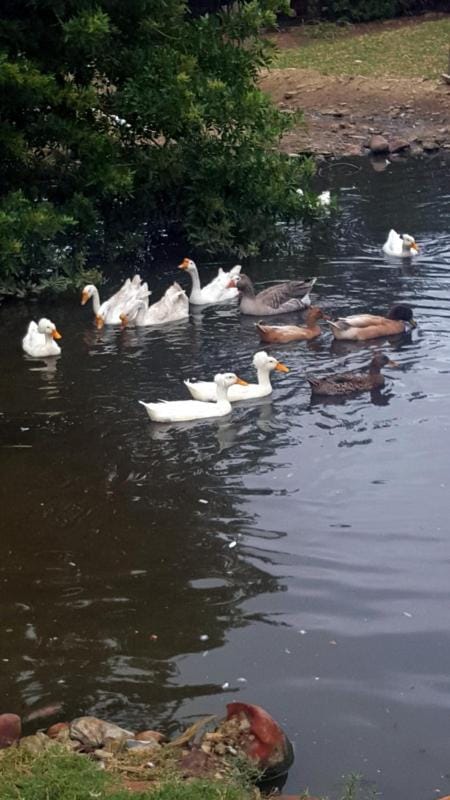 Breede River Holiday Farm Malgas Chalet in Western Cape